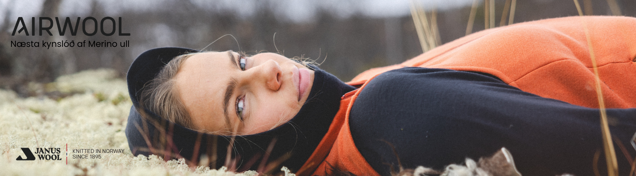 Forsíða Airwool desktop